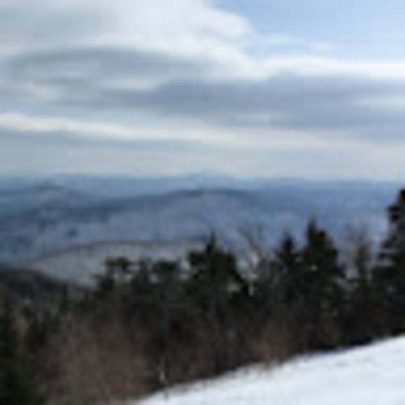 Meet your Posher, Erika - Picture 1 of 1